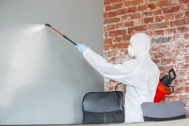 Best Black Mold Removal  in Aurora, SD