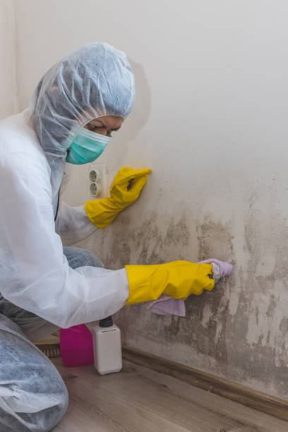 Mold Documentation for Insurance Claims in Aurora, SD