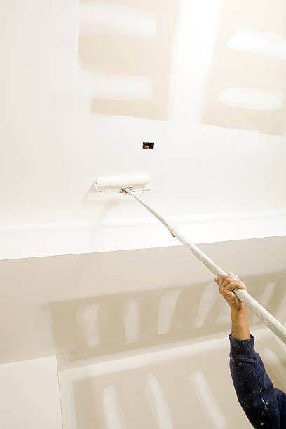 Best Biohazard Mold Removal  in Aurora, SD