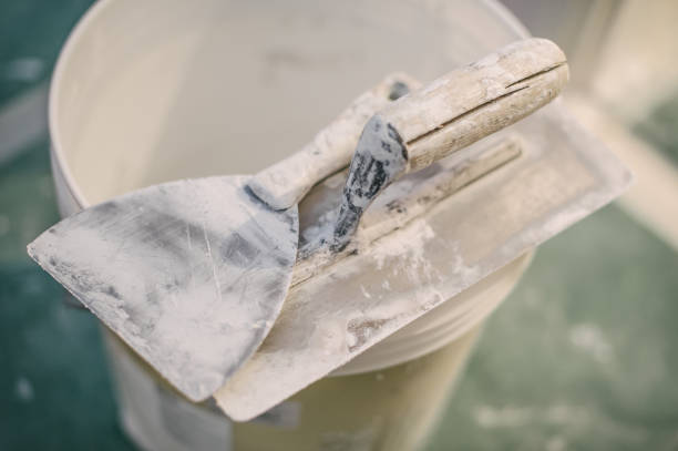Best Commercial Mold Inspection  in Aurora, SD
